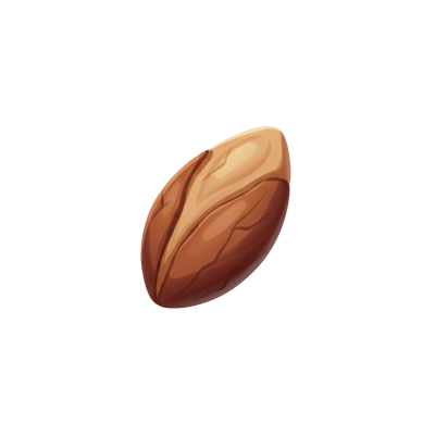 Rainforest seed